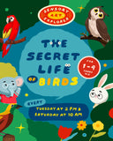 SENSORY ART EXPLORER - THE SECRET LIFE OF BIRDS