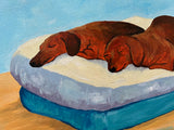 MAN'S BEST FRIEND (Saturday 8 August 2026 - 2.00 PM)