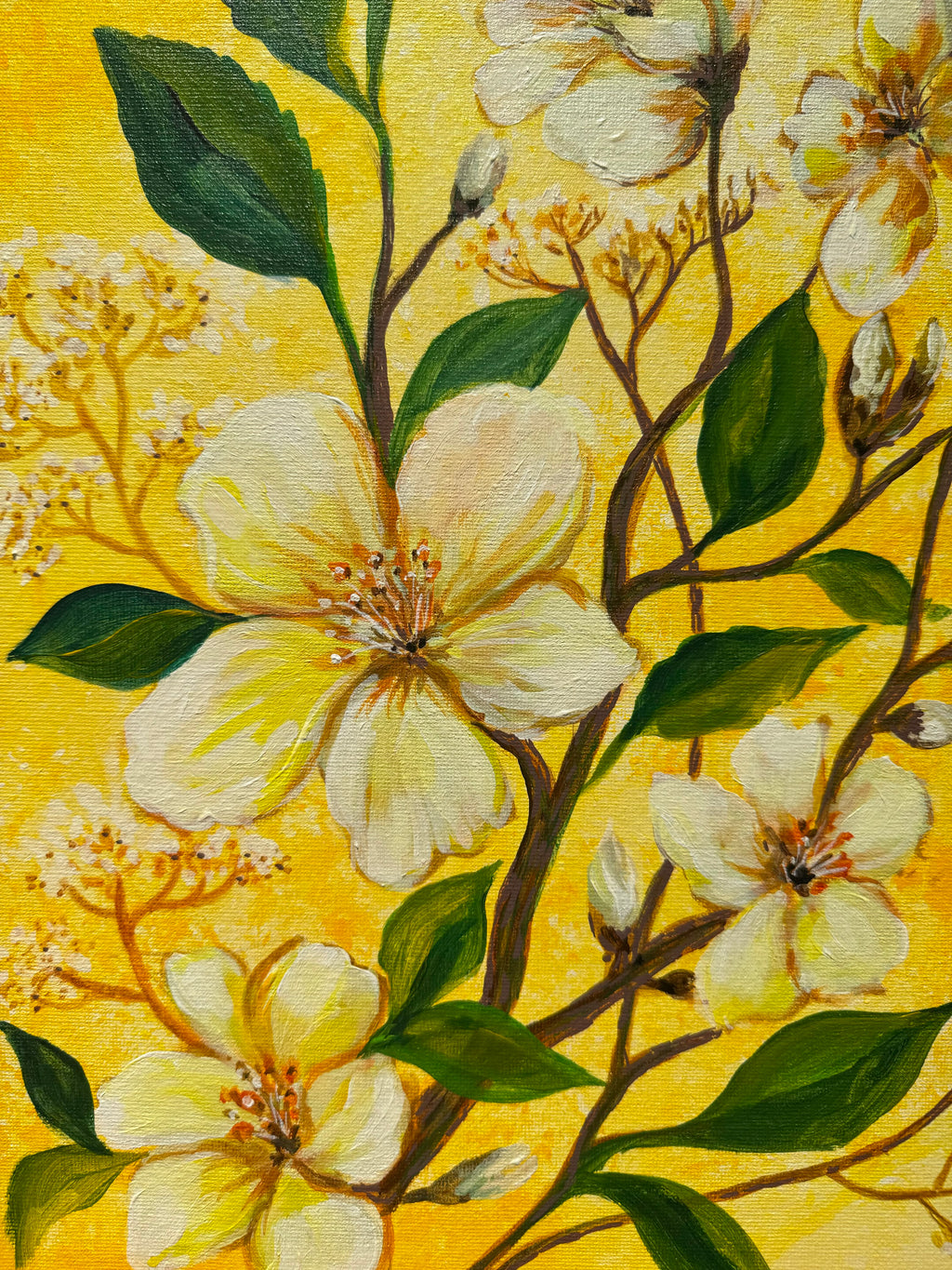 L' OCCITANE - THE IMMORTELLE GARDEN (Saturday 15 August 2026 - 10.30 AM)