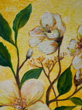 L' OCCITANE - THE IMMORTELLE GARDEN (Saturday 15 August 2026 - 10.30 AM)